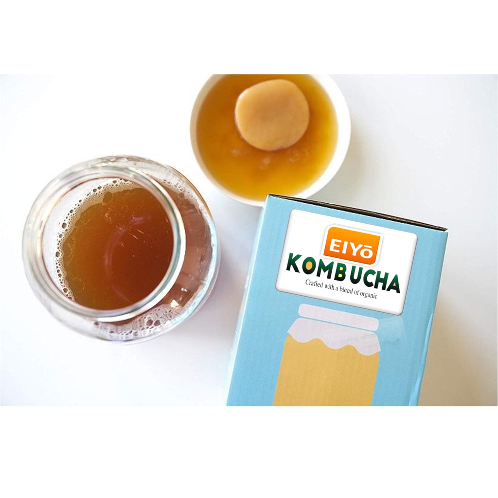 [ Bộ Dụng Cụ ] Làm trà KOMBUCHA - Với con giống SCOBY Organic Stay Ba Vì.