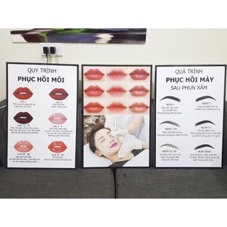 bộ 3 ảnh phục hồi môi mày