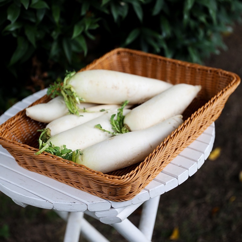 Giỏ đựng đô - giỏ nhựa giả mây cói vintage picnic - khay đựng hoa quả dã ngoại