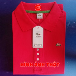 Áo Thun cá sấu NỮ Xuất khẩu cao cấp cotton co giãn 4 chiều [SALE GIÁ SỈ]