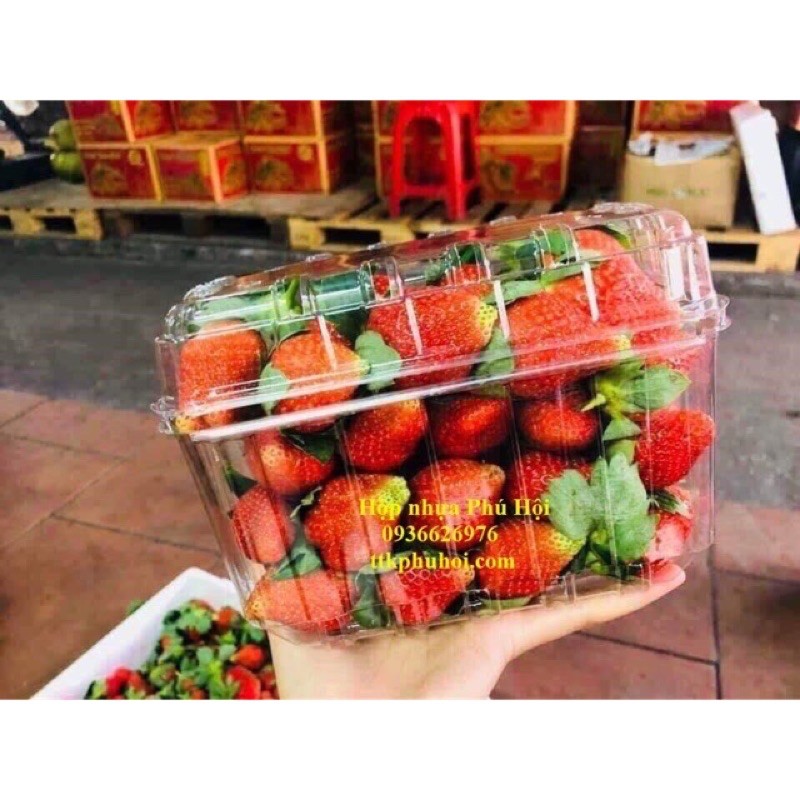 Thùng 330 cái hộp nhựa đựng trái cây 1kg p1000b cherry dâu táo