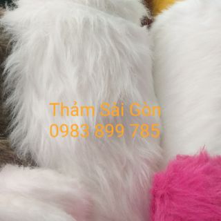THẢM LÔNG CHỤP ẢNH