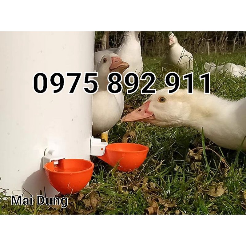 10 cái cốc máng uống tự động cho gà , vịt , chim , thỏ