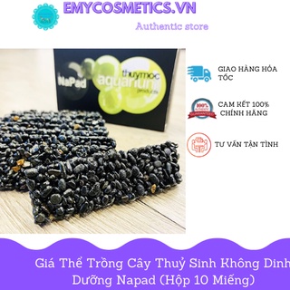 Giá thể trồng cây thuỷ sinh không dinh dưỡng napad (hộp 10 miếng)