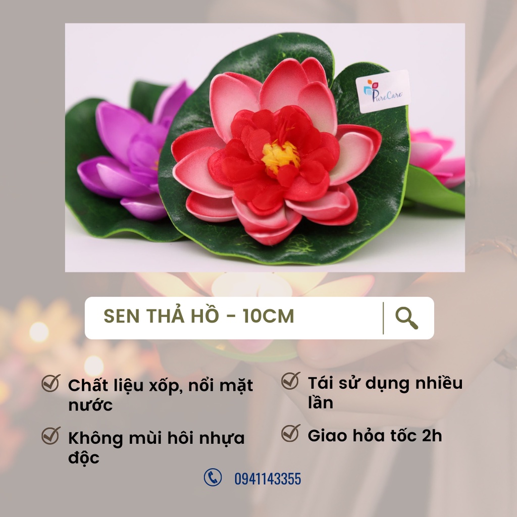 HCM_Hoa sen thả hồ, trang trí tiểu cảnh thả nổi trên nước
