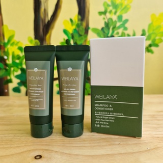 Weilaiya Dầu Gội Gừng Mini