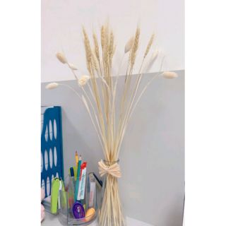 Combo khách chọn