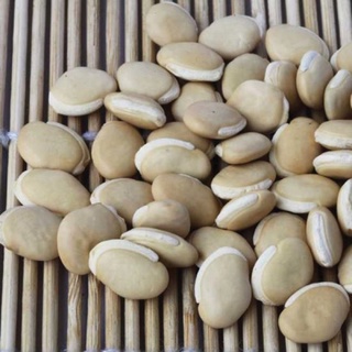 HẠT GIỐNG ĐẬU VÁN - 10 hạt/ gói