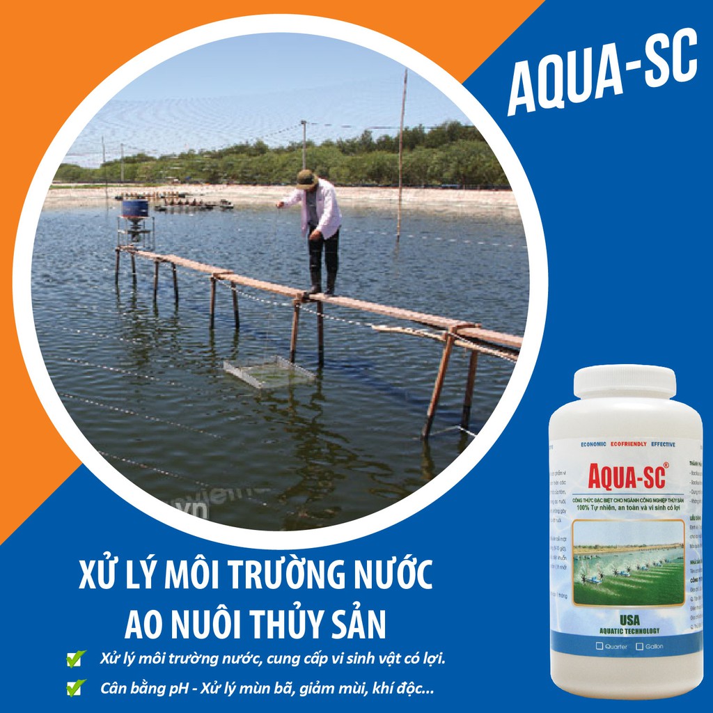 Hàng Mỹ - Vi Sinh Xử Lý Ao Nuôi Tôm, Ổn Định Màu Nước, Làm Sạch Đáy Ao, Cân Bằng pH - Aqua SC - Chai 1 Lít