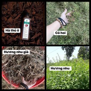 TINH CHẤT THẢO MỘC