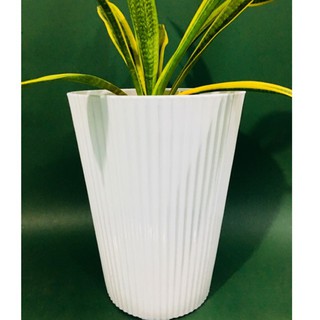 Chậu nhựa sọc Gân Tròn cao, chậu trồng cây cao cấp (3 size)