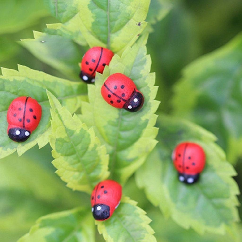 Set 20 Bọ Rùa Mini Dễ Thương Dùng Để Trang Trí Cây Bonsai Tiện Dụng