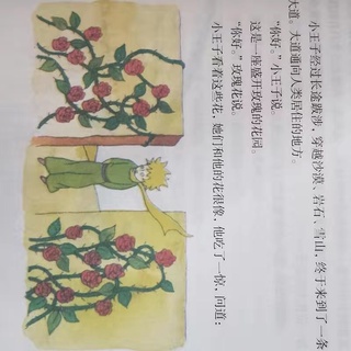 Sách- Hoàng tử bé (bản bìa cứng)