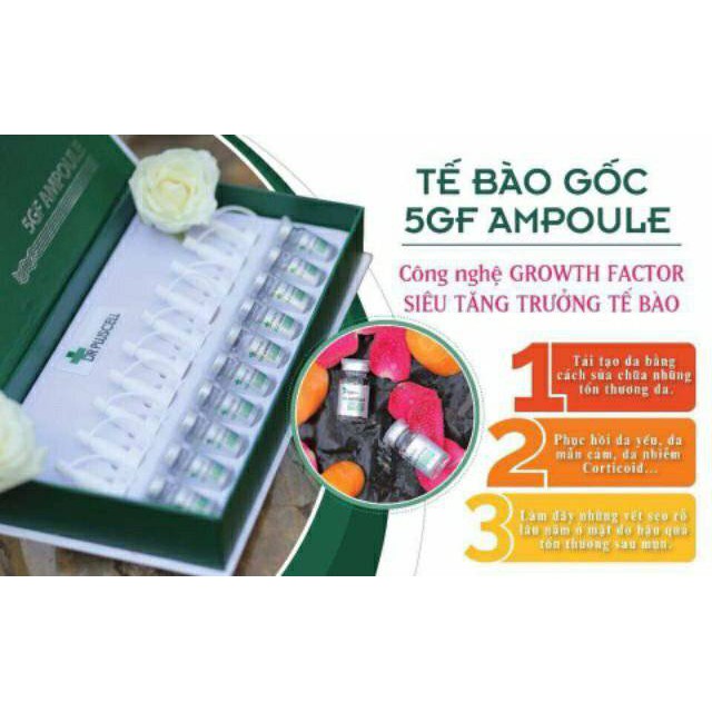Tế Bào Gốc 5GF Dr Pluscell sẹo rỗ, trắng sáng, căng bóng da | BigBuy360 - bigbuy360.vn