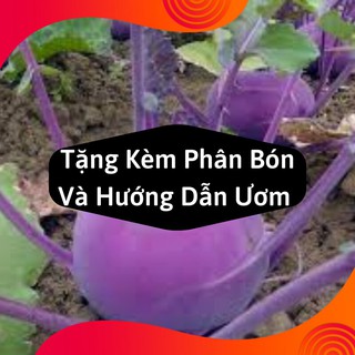 Combo 2 Gói Hạt Giống Su Hào Tím
