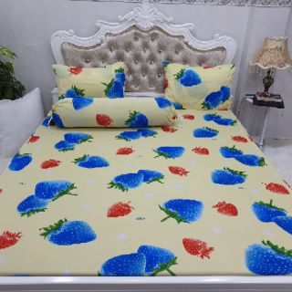 DRAP THUN HÀN QUỐC GIÁ HẤP DẪN