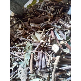 cây đuôi chồn (hầu vĩ tóc) 1 kg khô