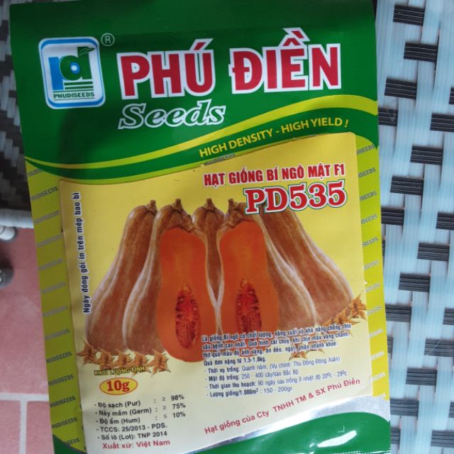 Hạt giống bí ngô mật F1