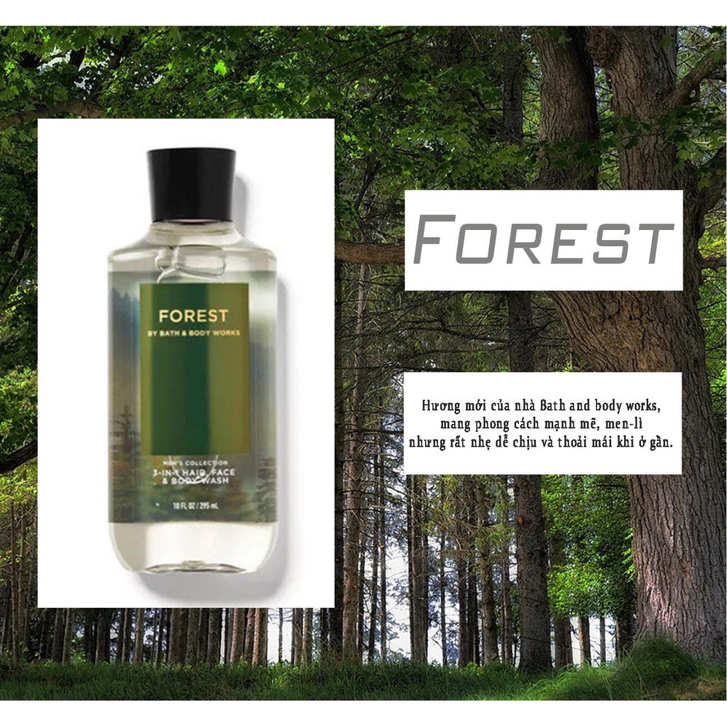 Bath and Body works- Forest Xịt thơm cơ thể (bodymist),Gel tắm 3in1,Cream dưỡng ẩm | BigBuy360 - bigbuy360.vn