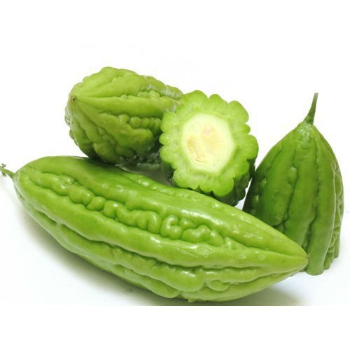 HẠT GIỐNG KHỔ QUA F1 031 - GÓI 2 GRAM