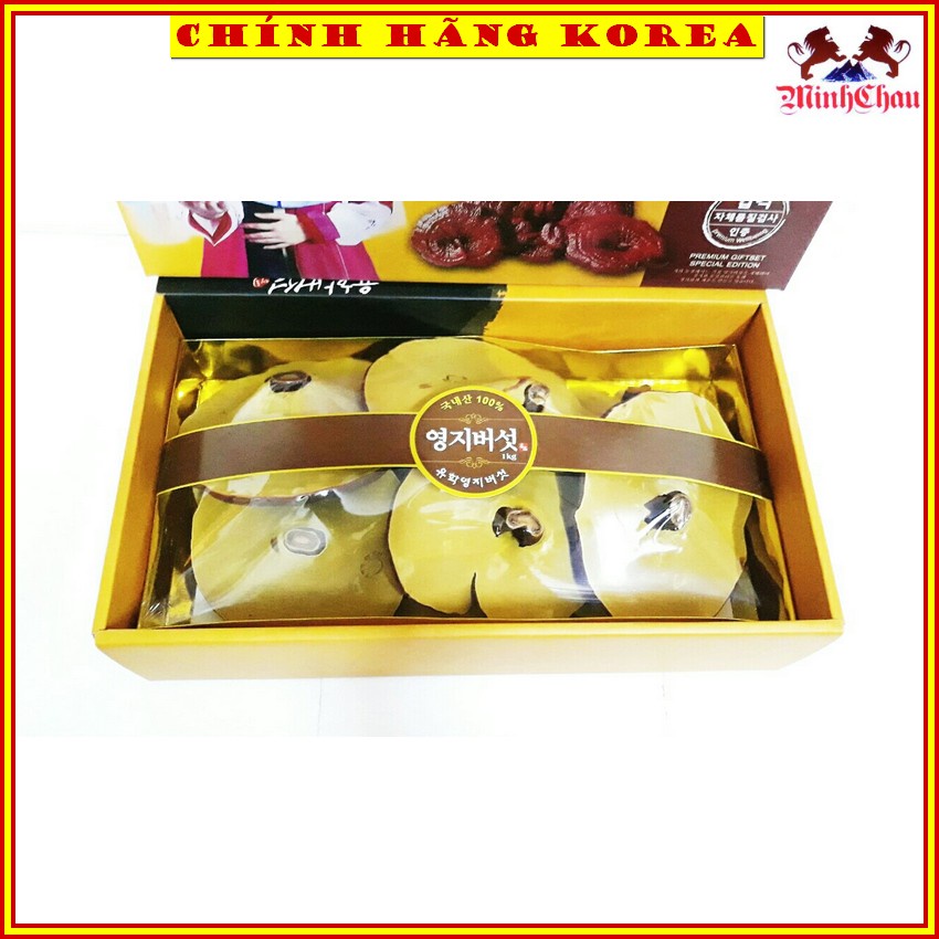 Nấm Linh Chi Hàn Quốc Chính Hãng, Nấm Hộp Quà 1kg, minhchau