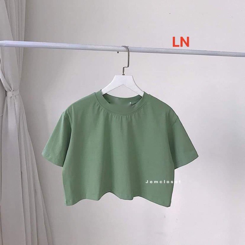 Áo croptop trơn bốn màu LN11