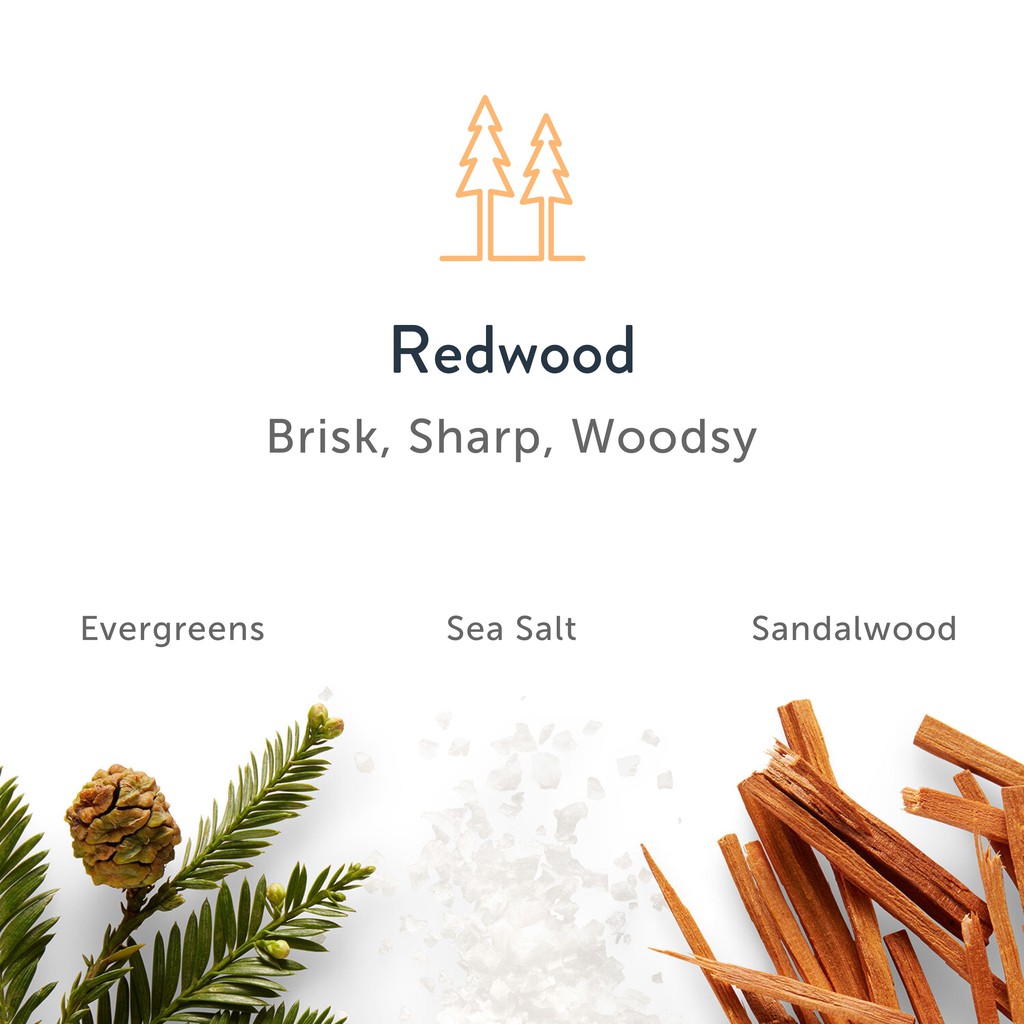 [FREESHIP] Sữa Tắm Harry's Redwood (An Exhilarating Of Coastal Woodlands) 473ML