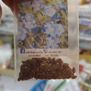 Hạt giống hoa  blueflex 100 hạt blueflex 100 hạt