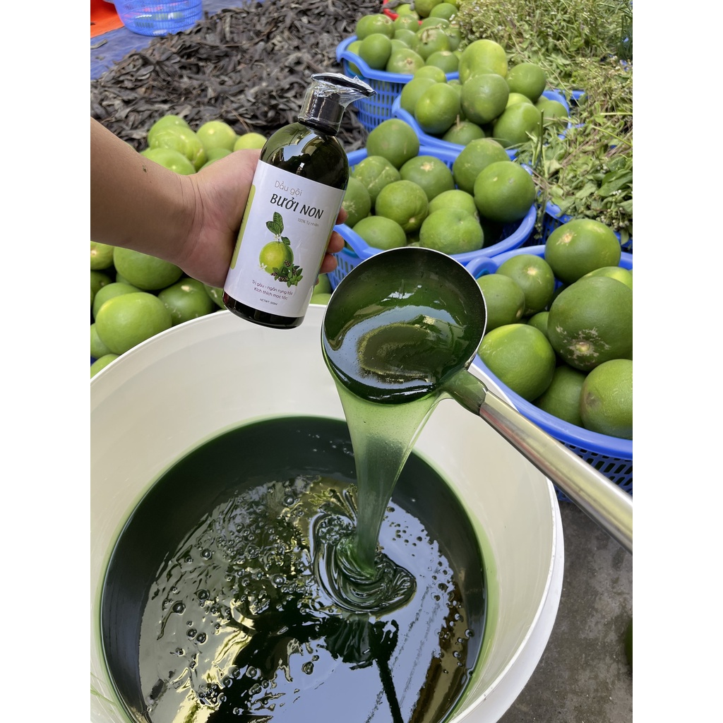 Dầu gội đầu thiên nhiên bưởi non kích thích mọc tóc - Dầu xả vỏ bưởi dưỡng tóc sạch gầu biotin ngăn rụng tóc 500ml | BigBuy360 - bigbuy360.vn