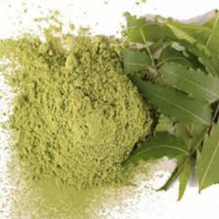 MẶT NẠ BỘT LÁ NEEM 100% TỰ NHIÊN