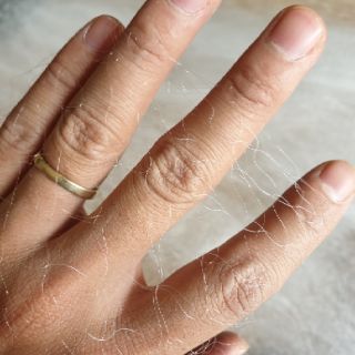Lưới đánh cá đối