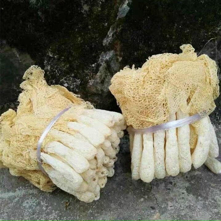 Nấm trúc sanh  là loại nấm quý cao cấp rất ngon và có nhiều dinh dưỡng 100g