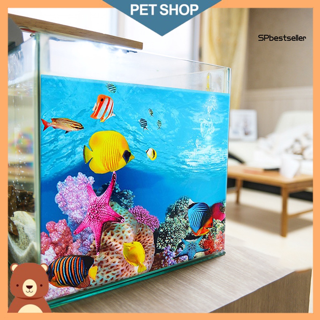 Miếng Dán Trang Trí Bể Cá Cảnh Độc Đáo