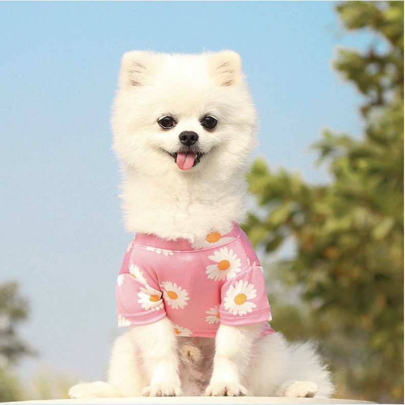 Áo cho chó mèo hoa cúc Peace minusone, quần áo chó mèo thú cưng Con Mèo Xiêm