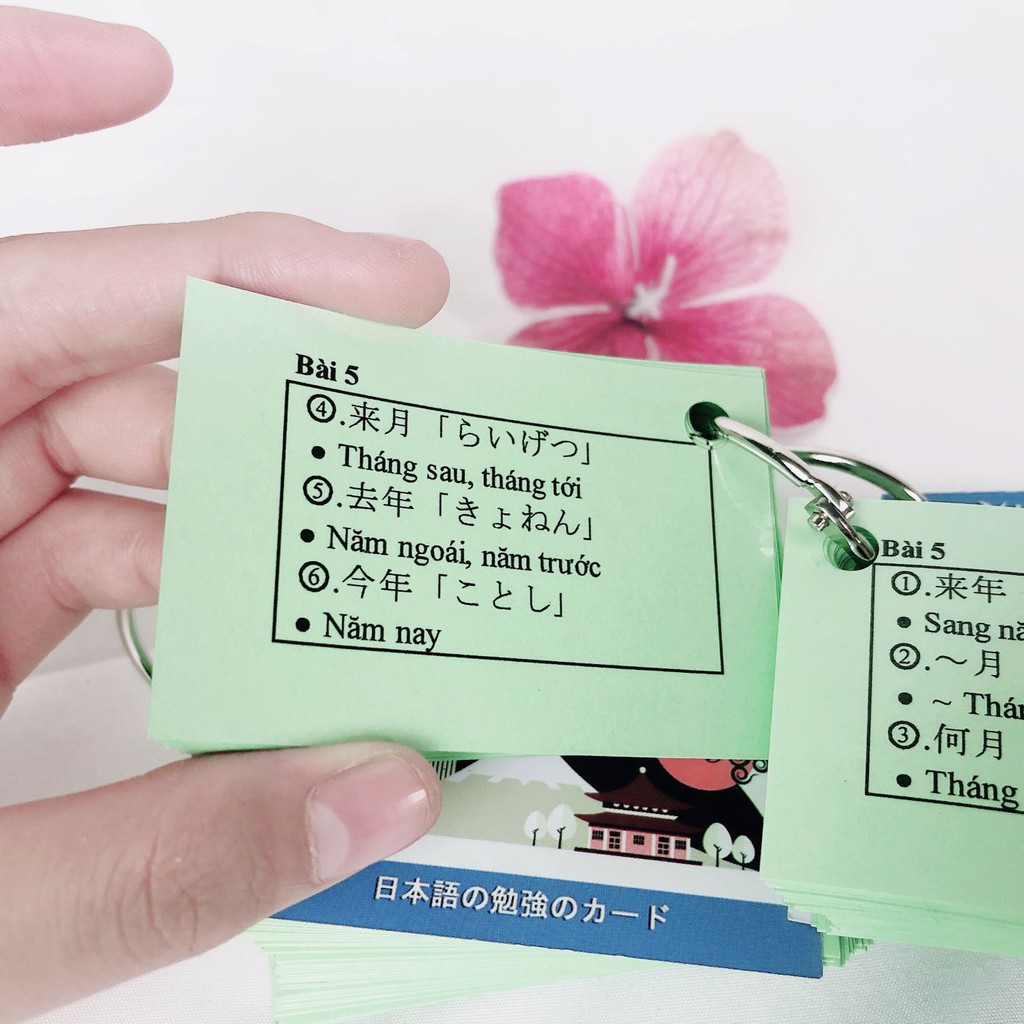 Flashcard từ vựng N5-N4 - thẻ học từ vựng Minna No Nihongo I-II