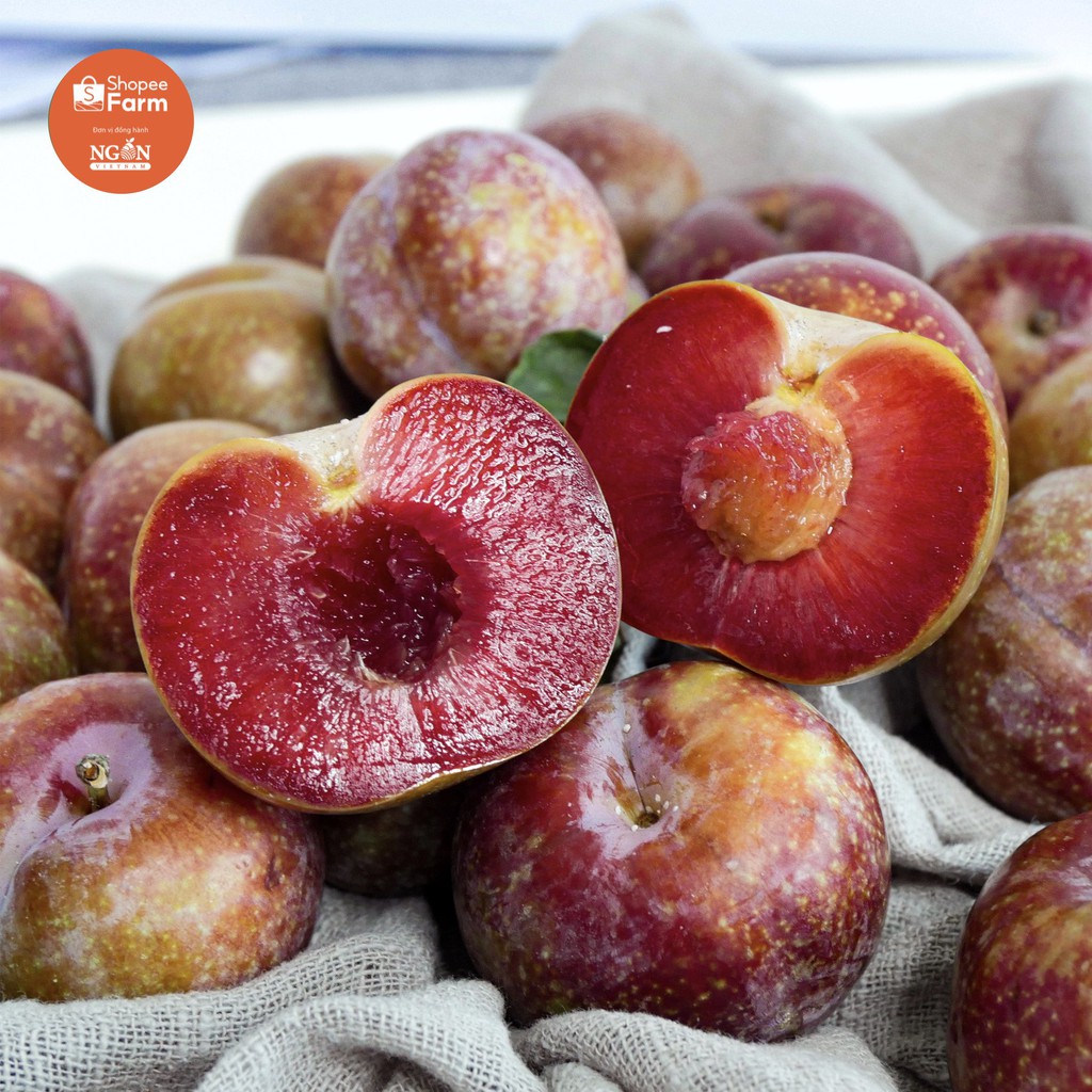 [HN] 1KG VIP 1 MẬN HẬU SƠN LA GIÒN TƯƠI CHÍN MỌNG | BigBuy360 - bigbuy360.vn