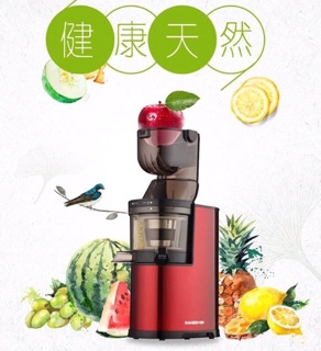 Máy ép chậm RANBEM-615 Hàng chuẩn