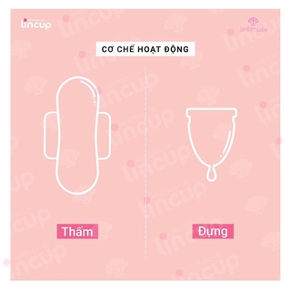 Cốc nguyệt san lincup