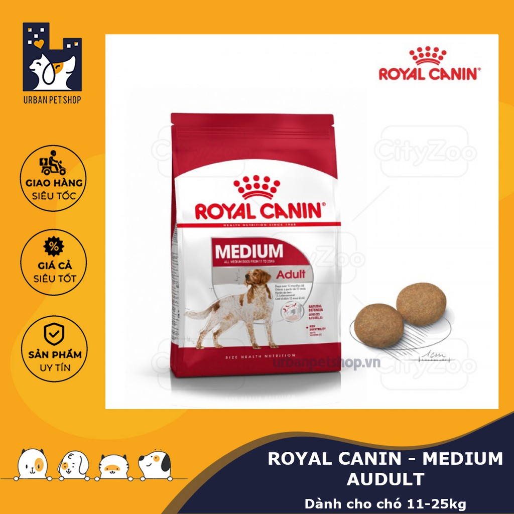 ROYAL CANIN - MEDIUM AUDULT [ CHÍNH HÃNG ] - DÀNH CHO CHÓ TRƯỞNG THÀNH 11-25KG