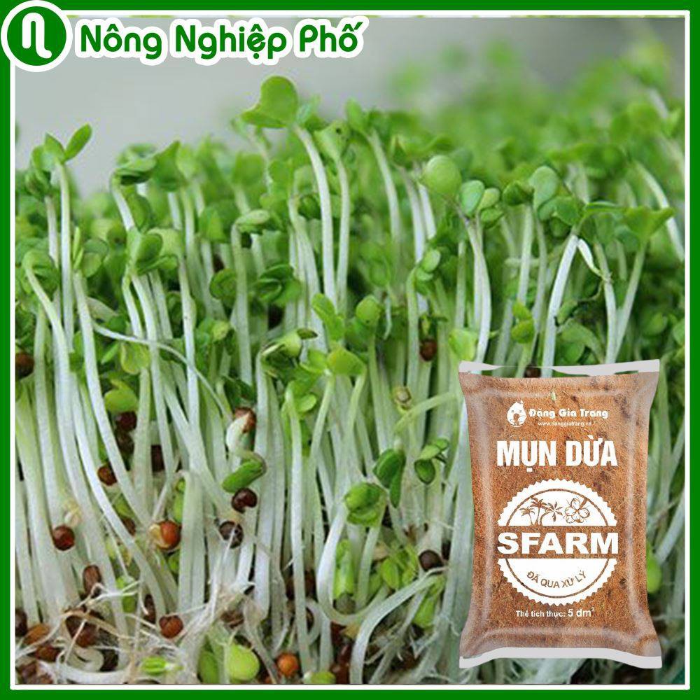 GIÁ THỂ MỤN DỪA ĐÃ QUA XỬ LÝ SFARM - Gói 5dm3