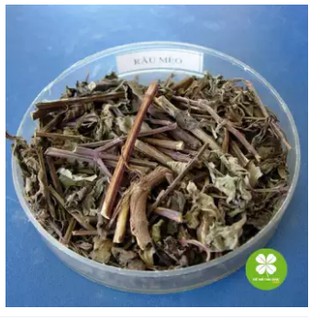 Cây râu mèo (gói 1kg) - NDX015