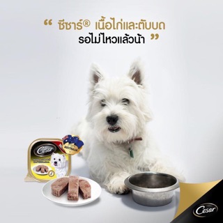Pate hộp Cesar cho cún mèo🍲🥘
