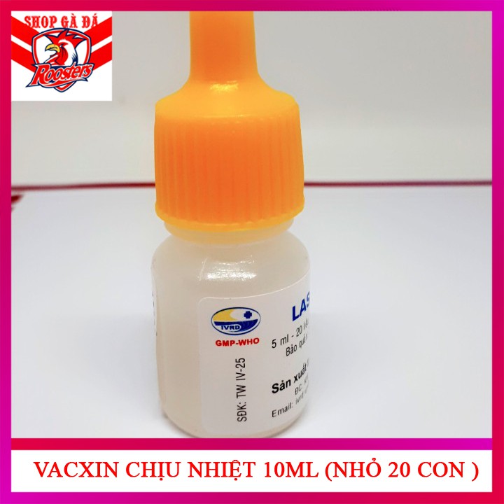 Vacxin lasota chiệu nhiệt - ngừa dịch tả-phân dính đít gà con