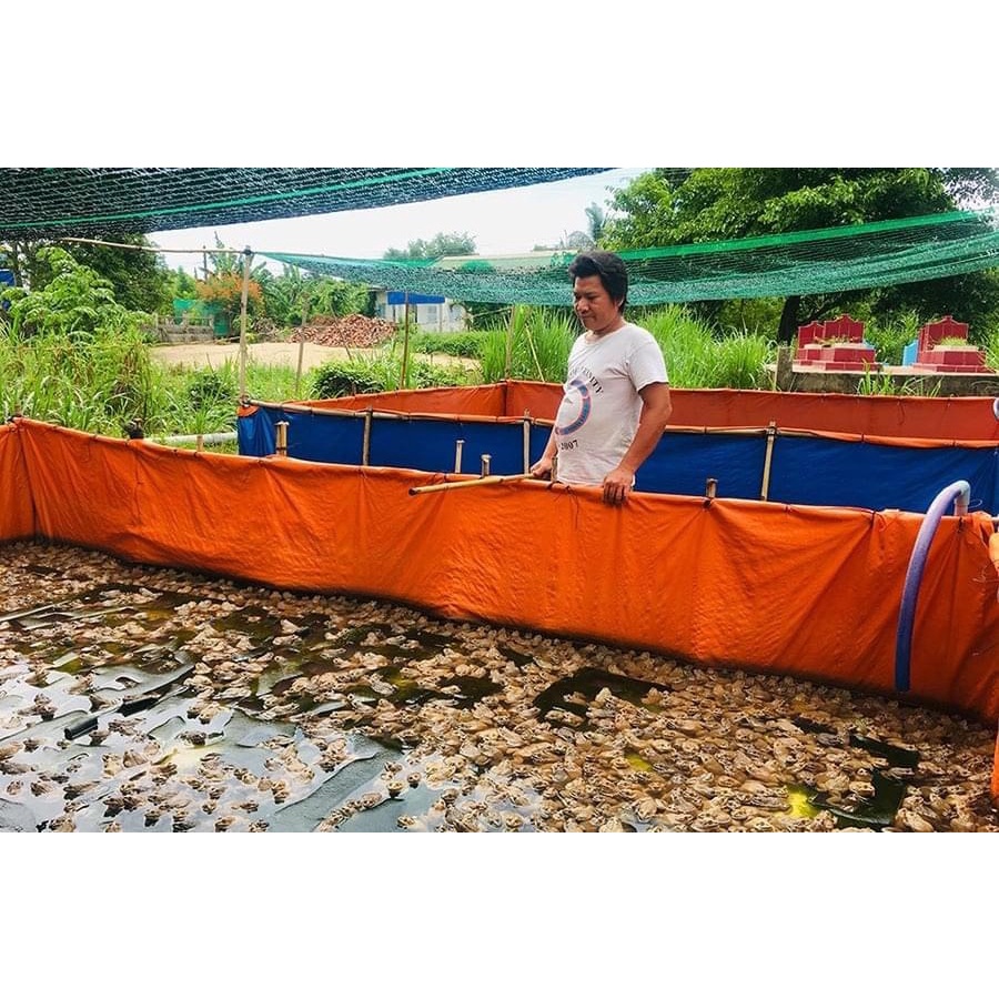 Bể Bạt Nuôi ốc , ếch , cá, lươn -  5 x 4 x 1m ( Bạt A Cường)