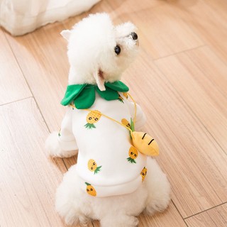 Áo xinh xắn cho thú cưng