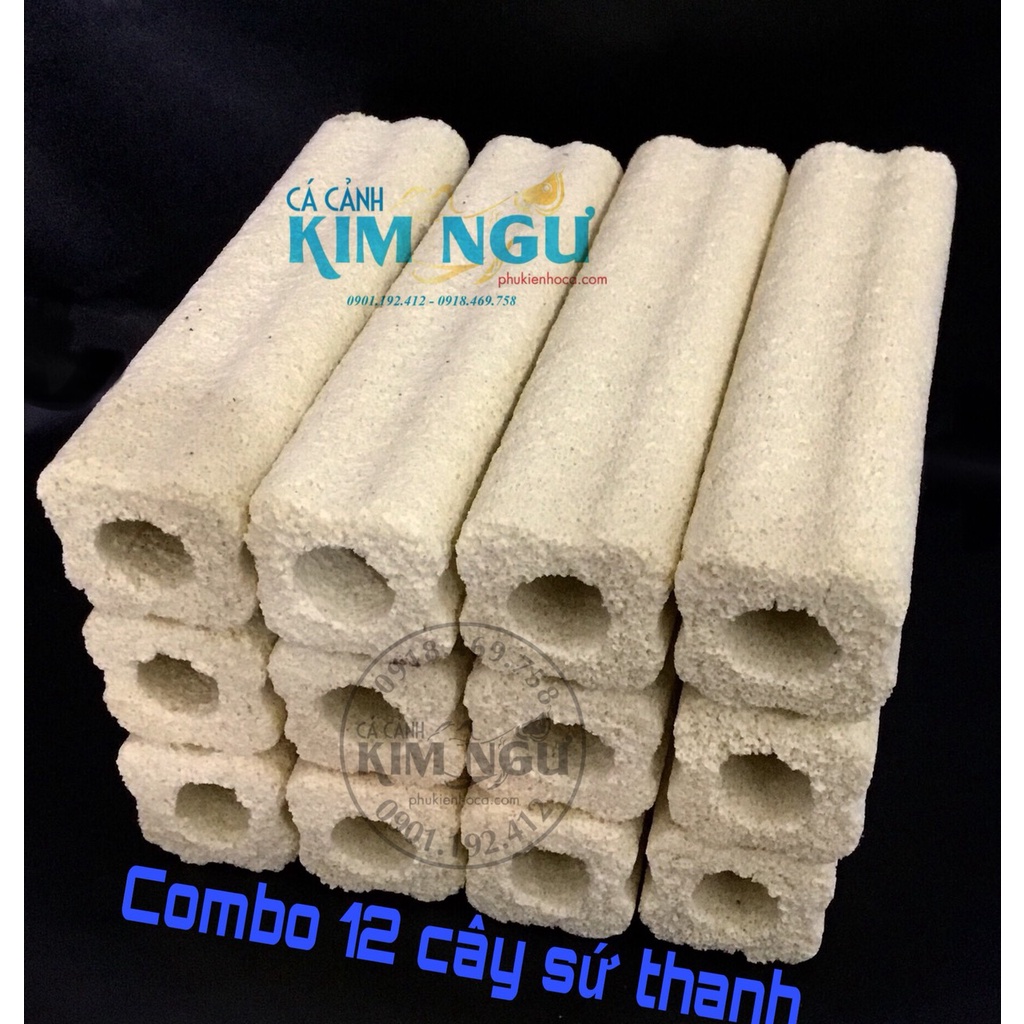 Combo 12 Cây Sứ Thanh Vàng Lọc Nước Hồ Cá 15*3.5*3.5cm
