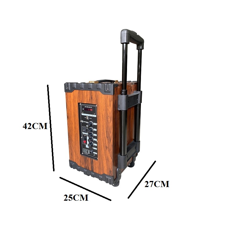 Loa Kéo Di Động Karaoke Bluetooth Mitsunal T803, Kèm 2 micro không dây - Hàng chính hãng