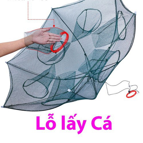 Lưới Bát Quái Lồng Ô 8 Cửa 12 Cửa [ XƯỞNG SẢN XUẤT ] chuyên bắt các loại cá,lươn,,tôm,cua