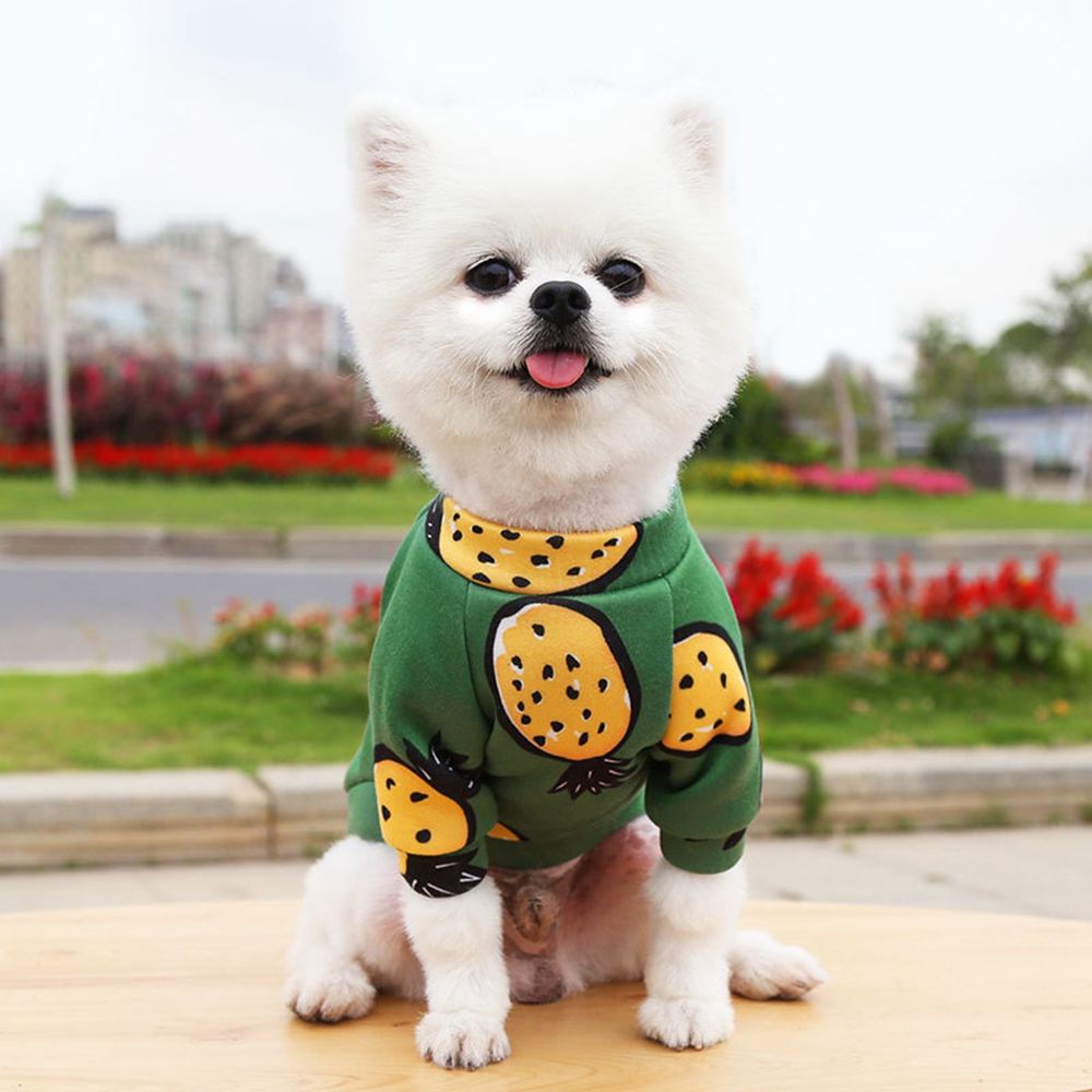 Áo len hai lớp mềm mại thời trang dễ thương cho cún cưng