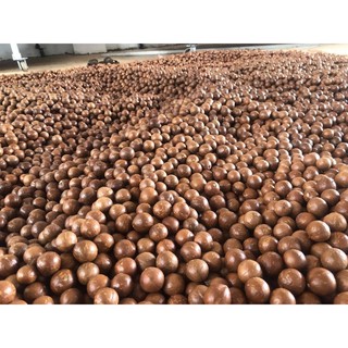 LON 530g HẠT MACCA
